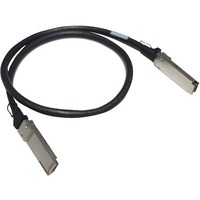 HPE 1 m QSFP28 Network Cable for Network Device - First End: 1 x QSFP28 Network - Second End: 1 x QSFP28 Network - 100 Gbit/s