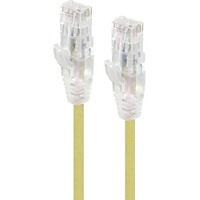 Alogic Alpha 5 m Category 6 Network Cable for Network Device - First End: 1 x RJ-45 Network - Male - Second End: 1 x RJ-45 Network - Male - Gold - -