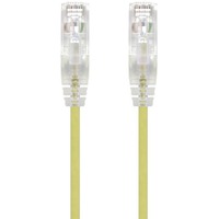 Alogic Alpha 1.50 m Category 6 Network Cable for Network Device - First End: 1 x RJ-45 Network - Male - Second End: 1 x RJ-45 Network - Male - Gold -