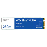 WD Blue SA510 250GB M.2 SSD